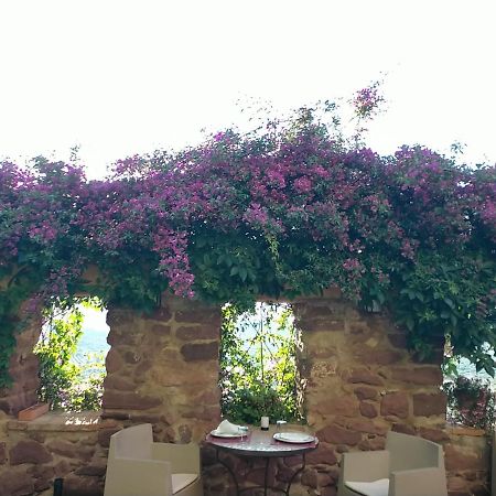 El Jardin Vertical 빌라파메스 외부 사진