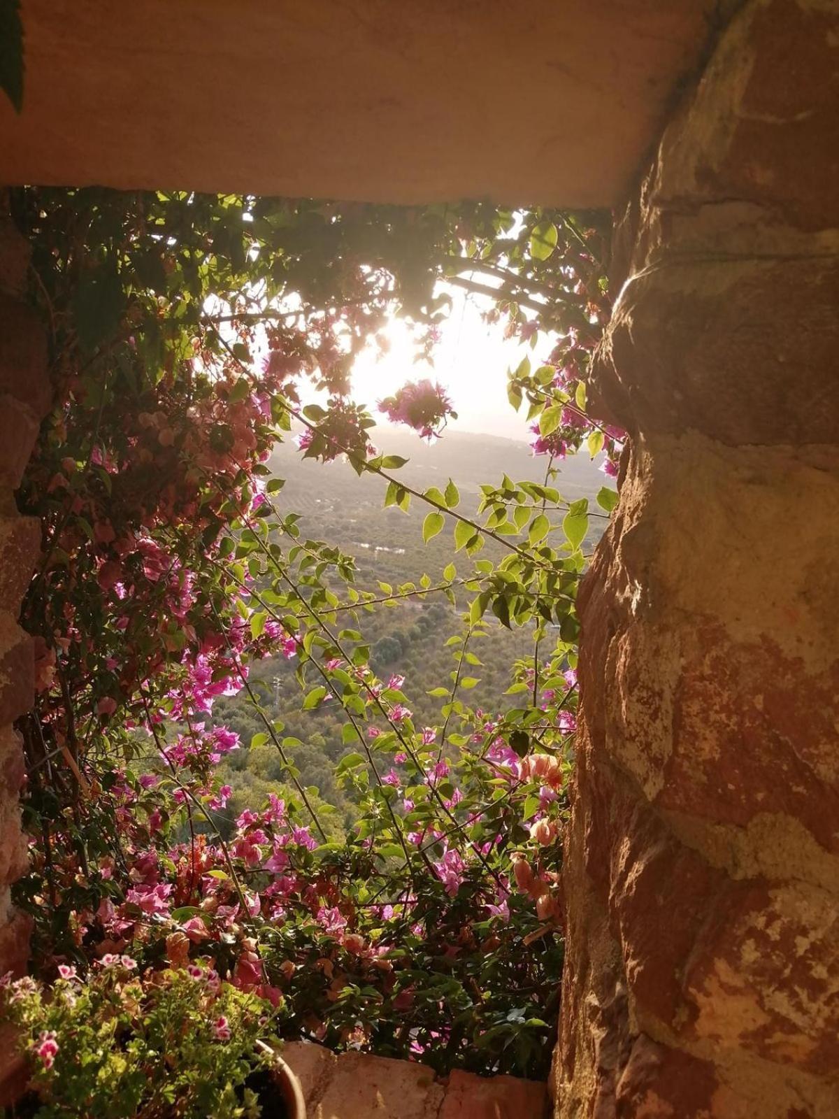 El Jardin Vertical 빌라파메스 외부 사진