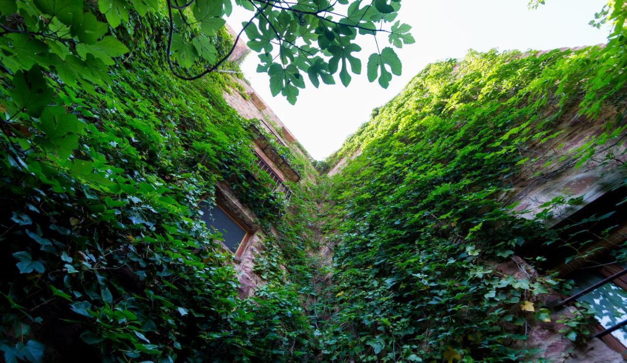El Jardin Vertical 빌라파메스 외부 사진