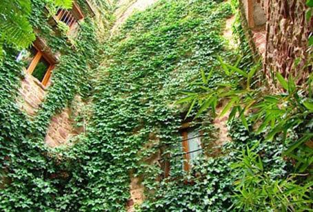 El Jardin Vertical 빌라파메스 외부 사진
